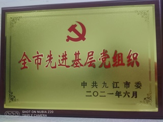 2021年全市先進(jìn)基層黨組織