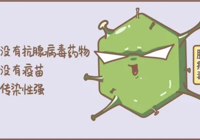 【健康科普】武寧縣總醫(yī)院人民醫(yī)院院區(qū)兒科提醒您：近期腺病毒感染激增！這些要點(diǎn)家長要了解！