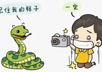 武寧縣總醫(yī)院人民醫(yī)院院區(qū)毒蛇咬傷急救科普： 爭分奪秒，科學(xué)應(yīng)對，為生命贏得時(shí)間