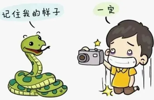 武寧縣總醫(yī)院人民醫(yī)院院區(qū)毒蛇咬傷急救科普： 爭分奪秒，科學應對，為生命贏得時間